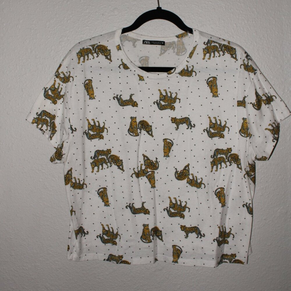 Zara Oversize Crop Tee